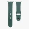 РЕМІНЕЦЬ ДЛЯ APPLE WATCH SILICONE 42, 44MM S (62) CACTUS