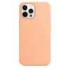 MR4_102091 Чохол silicone case copy with magsafe + animation для iphone 12 pro max cantaloupe 