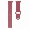 РЕМІНЕЦЬ ДЛЯ APPLE WATCH SILICONE 42, 44MM M (66) LILAC PRIDE