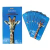 ЗАХИСНЕ СКЛО GIRAFFE ANTI-STATIC GLASS ДЛЯ IPHONE 13 PRO MAX, 14 PLUS, ЧОРНИЙ, (ТЕХ. ПАК), (5ШТ)