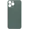 MR3_224361 Задня кришка (скло) iphone 13 pro max alpine green (big hole) 