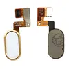 MR3_90426 Шлейф meizu m3 note m681h (10pin) з кнопкою меню (home) gold 