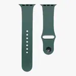 РЕМІНЕЦЬ ДЛЯ APPLE WATCH SILICONE 38, 40MM S (62) CACTUS