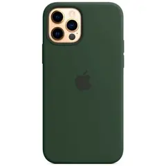 MR1_82412 Чохол (sillicon case) для iphone 12, iphone 12 pro з magsafe and splash cyprus зелений PRC