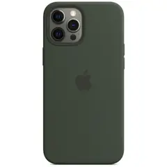 MR1_82435 Чохол (sillicon case) для iphone 12 pro max з magsafe and splash cyprus зелений PRC