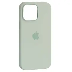 MR4_139455 Чохол silicone case copy with magsafe для iphone 16 pro aquamarine 