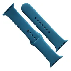 РЕМІНЕЦЬ ДЛЯ APPLE WATCH SILICONE 38, 40, 41 2IN1 (62) CACTUS