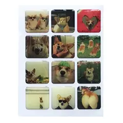 НАБІР НАКЛЕЙОК 3D STICKERS CORGI 1