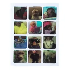 НАБІР НАКЛЕЙОК 3D STICKERS MONKEY 1