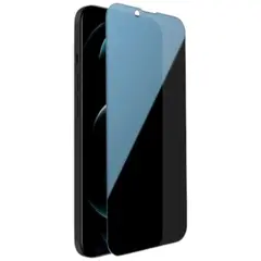 MR3_199258 Захисне скло для iphone 13, 13 pro, 14, 16e 6.1 full glue anti-static privacy (0.3 mm, антишпигун) чорний PRC