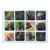 MR4_142118 Набір наклейок 3d stickers capybara 1 