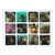 MR4_142119 Набір наклейок 3d stickers capybara 2 