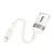 MR4_145620 Перехідник hoco ua39 crystal ip male to usb female 2.0 adapter apricot 
