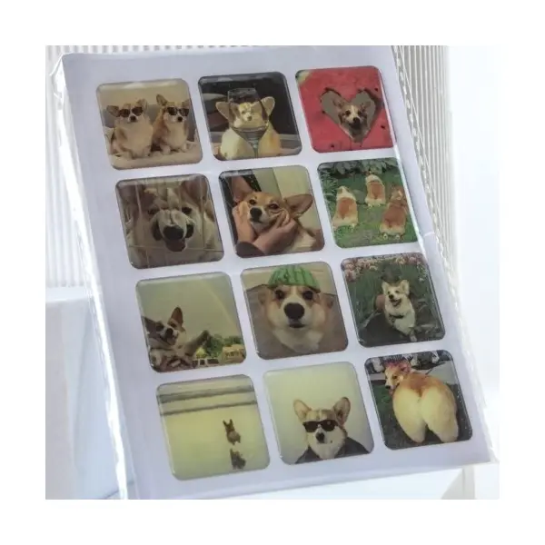 НАБІР НАКЛЕЙОК 3D STICKERS CAPYBARA 1