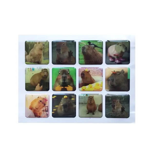 НАБІР НАКЛЕЙОК 3D STICKERS CAPYBARA 1