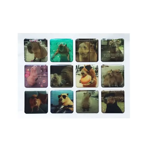 MR4_142119 Набір наклейок 3d stickers capybara 2 