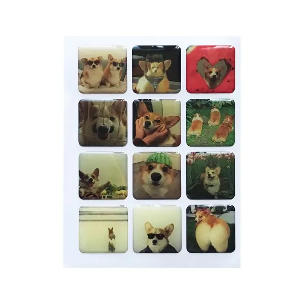 НАБІР НАКЛЕЙОК 3D STICKERS CORGI 1