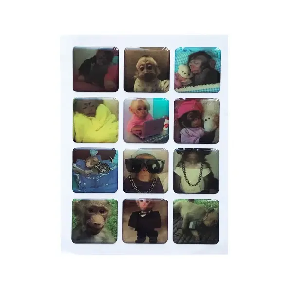 НАБІР НАКЛЕЙОК 3D STICKERS MONKEY 1