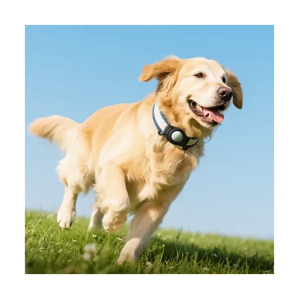 БРЕЛОК АНТИ-ВТРАТА HOCO E91C TIGER INTELLIGENT POSITIONING ANTI-LOST DEVICE (PET COLLAR TYPE)