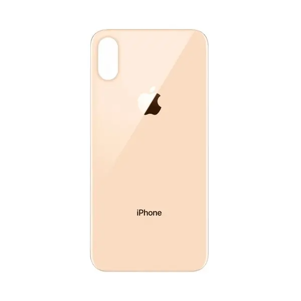 MR3_102736 Задня кришка (скло) iphone xs gold (big hole) 