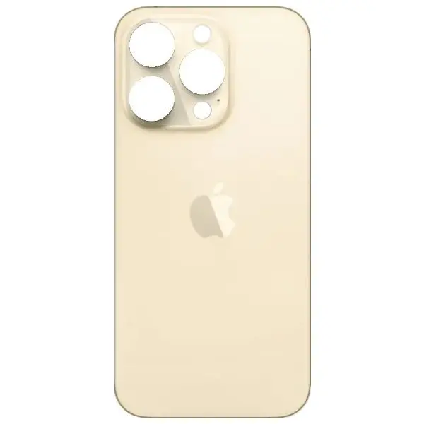 MR3_119017 Задня кришка (скло) iphone 14 pro gold (big hole) 